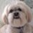 Harry Enten profile photo